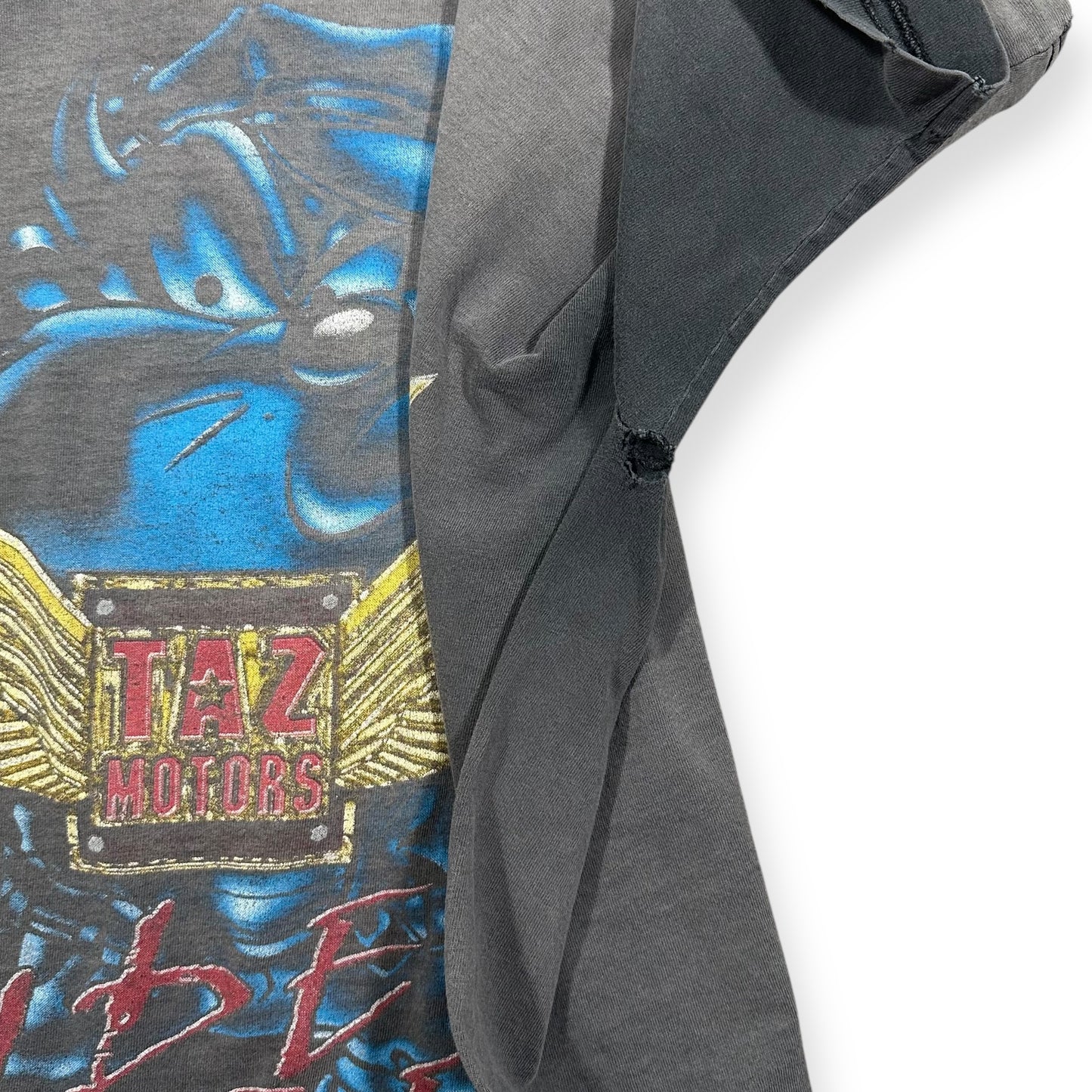 1990s SMOKED Vintage Taz Shirt