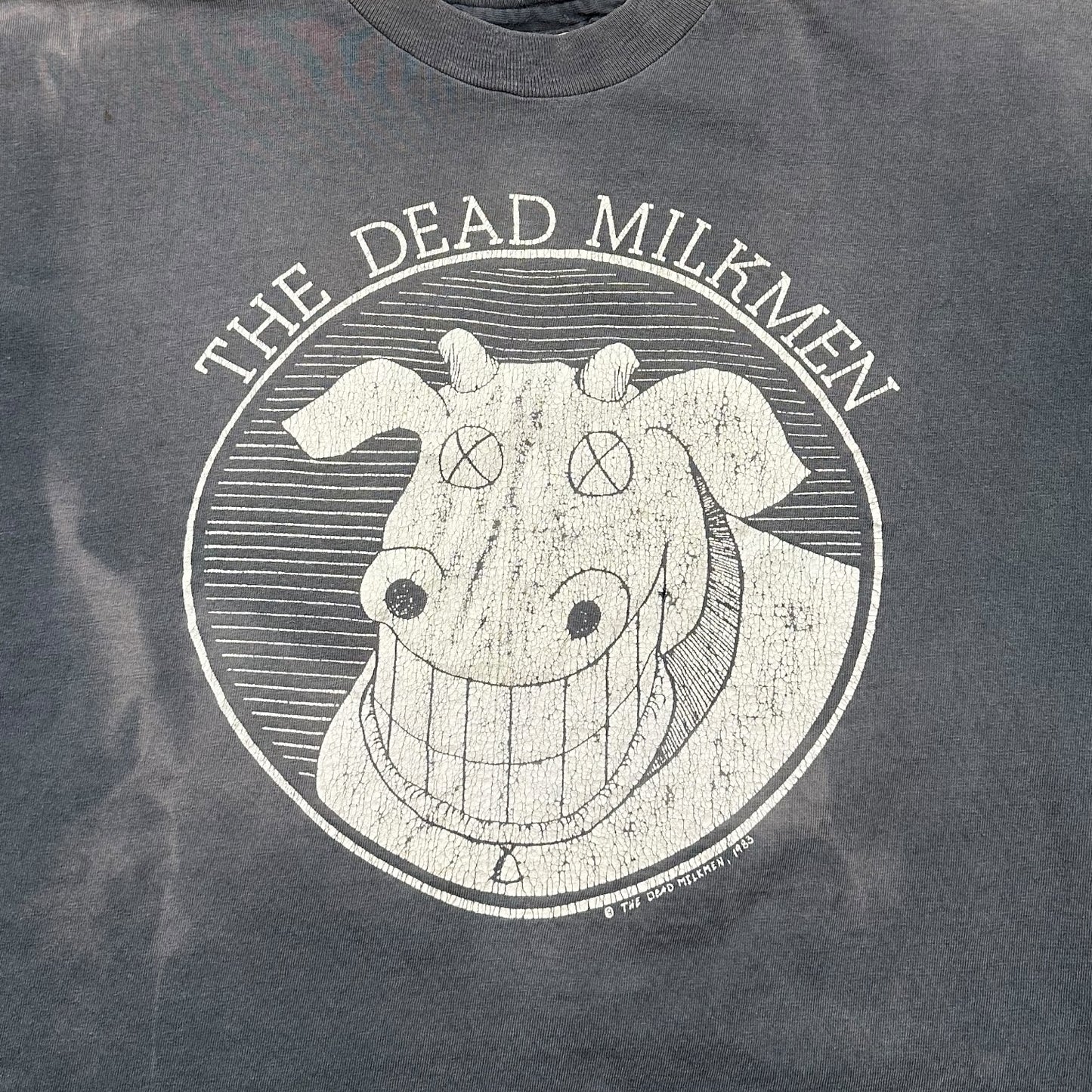1983 Vintage The Dead Milkmen "Metaphysical Graffiti" Shirt