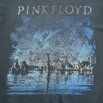 2001 Vintage Pink Floyd "Wish You Were Here" Shirt