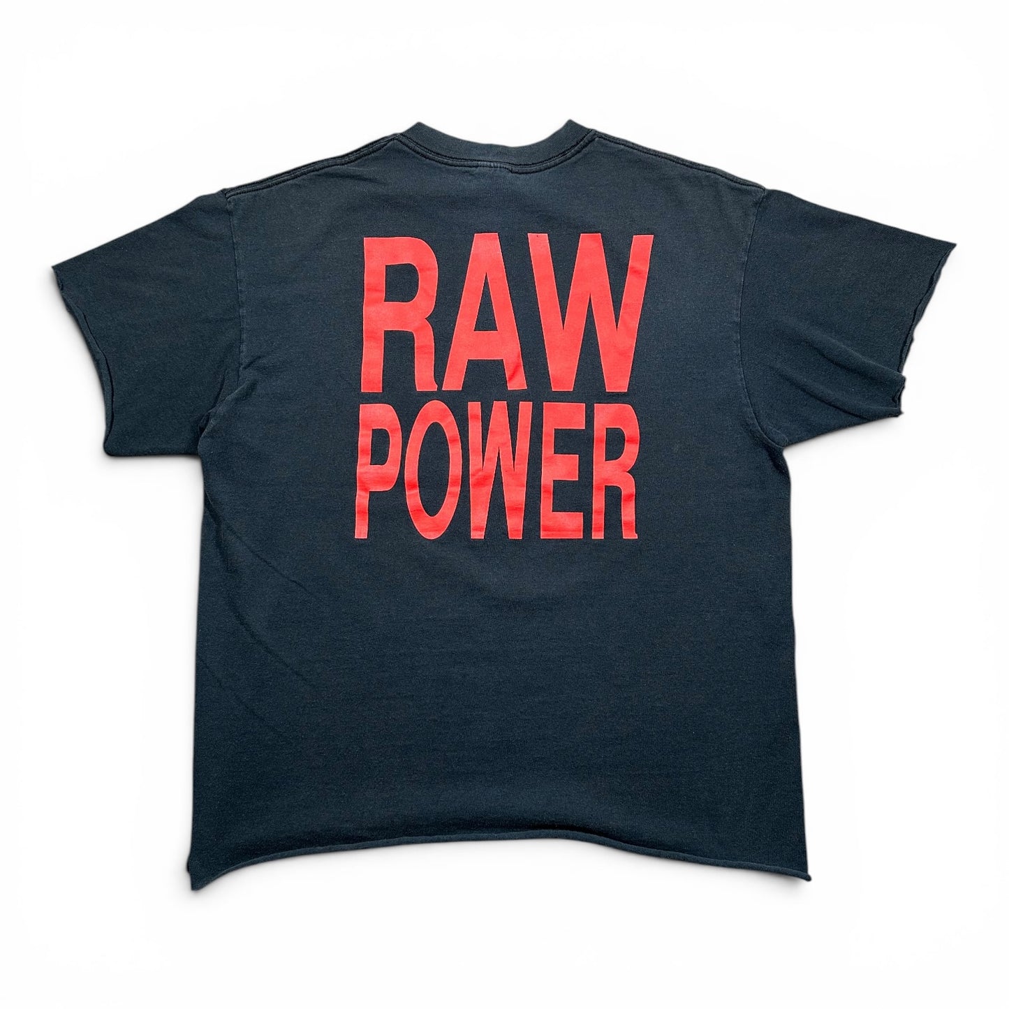 2000s Vintage Iggy Pop "Raw Power" Shirt