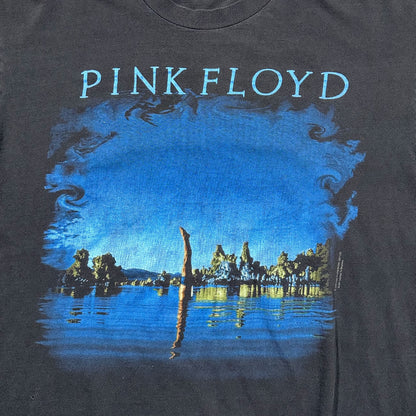 1992 Vintage Pink Floyd "Wish You Were Here" Shirt