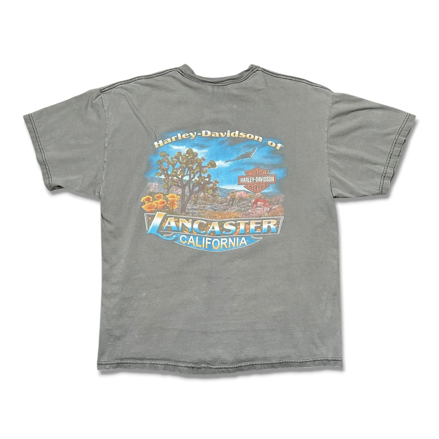 2000s Vintage Harley Davidson Shirt