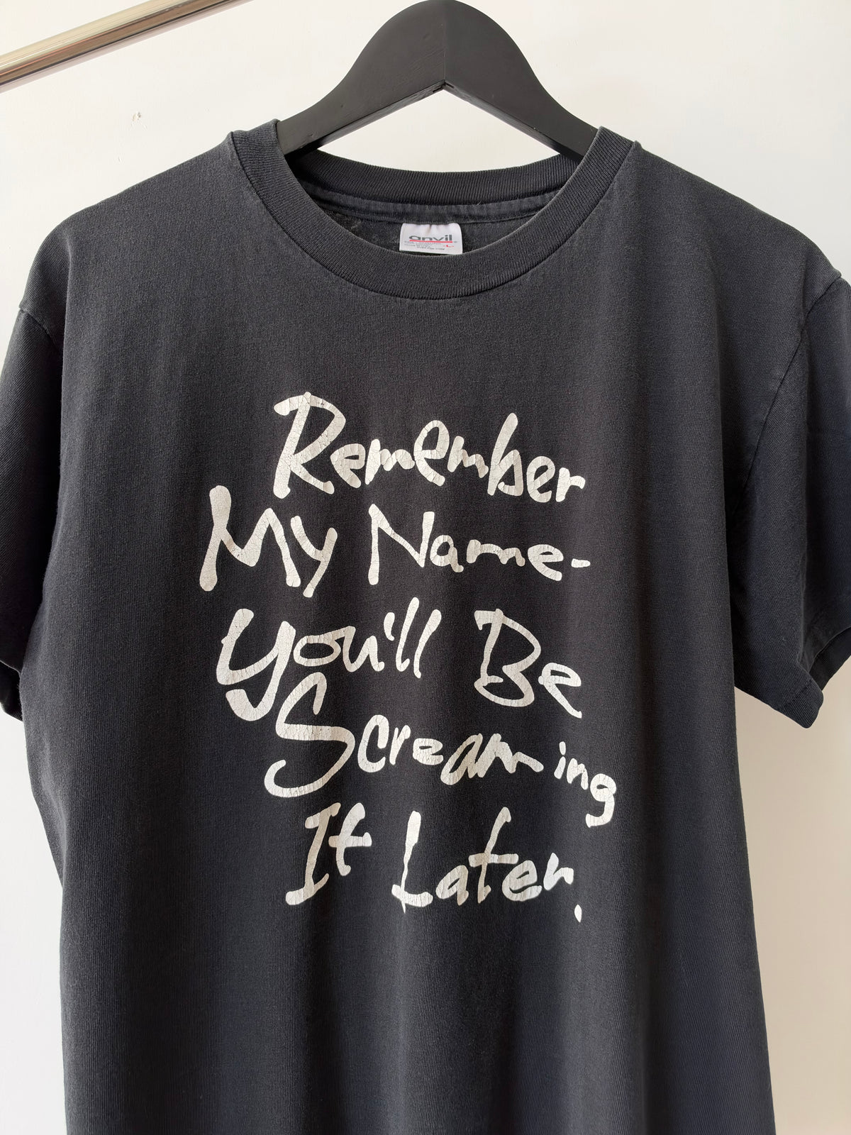 Remember My Name-You'll Be Screaming It Later - 1990s