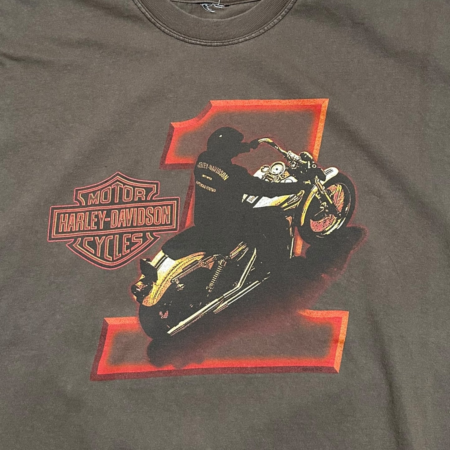 2000s Vintage Harley Davidson Shirt