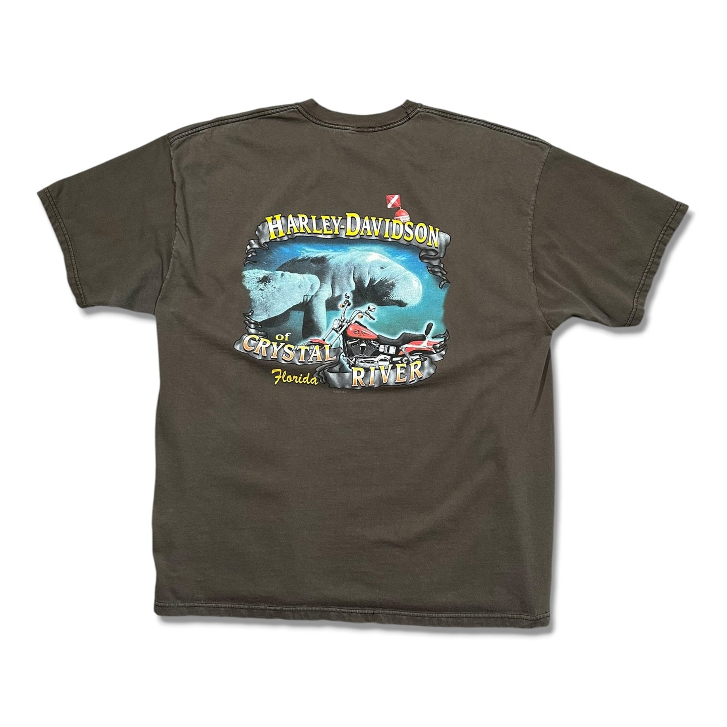 2000s Vintage Harley Davidson Shirt