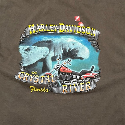 2000s Vintage Harley Davidson Shirt