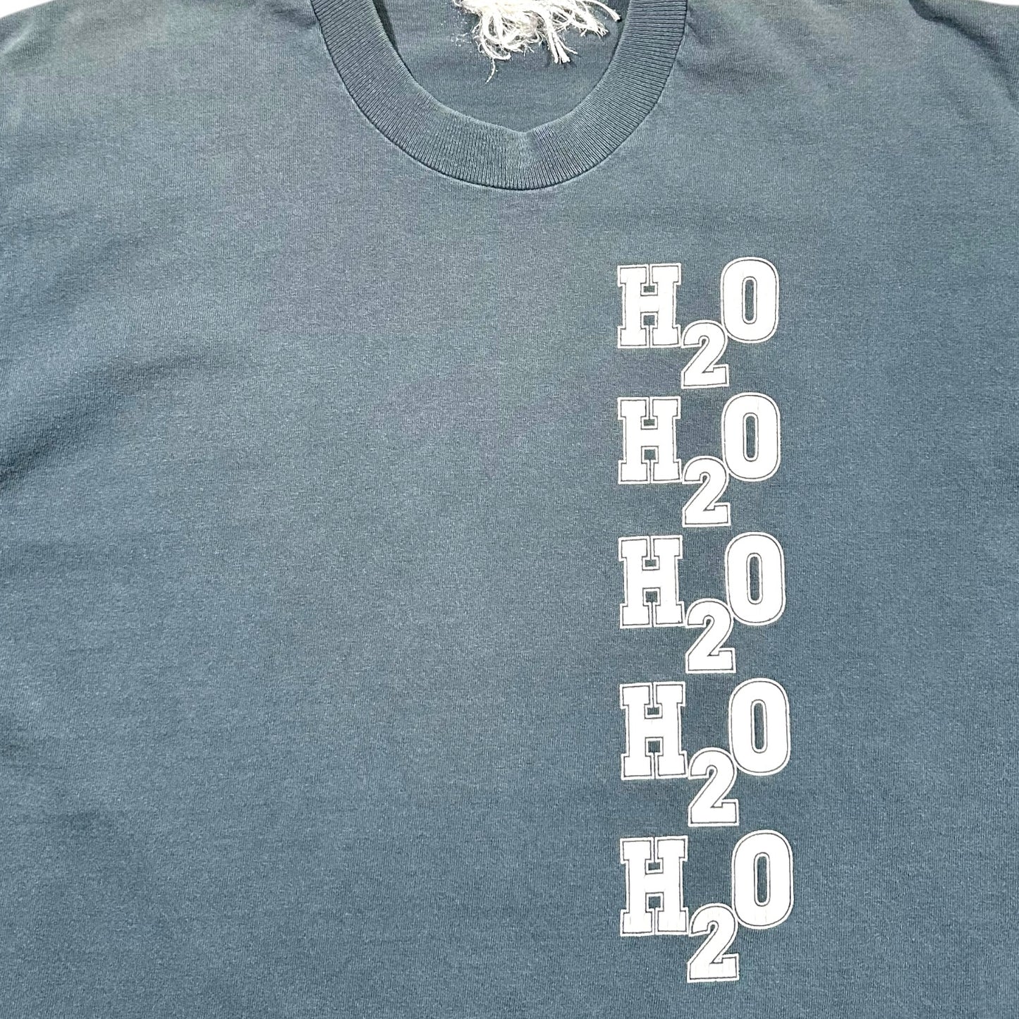 1990s Vintage H2O "Don't Forget Your Roots" Shirt