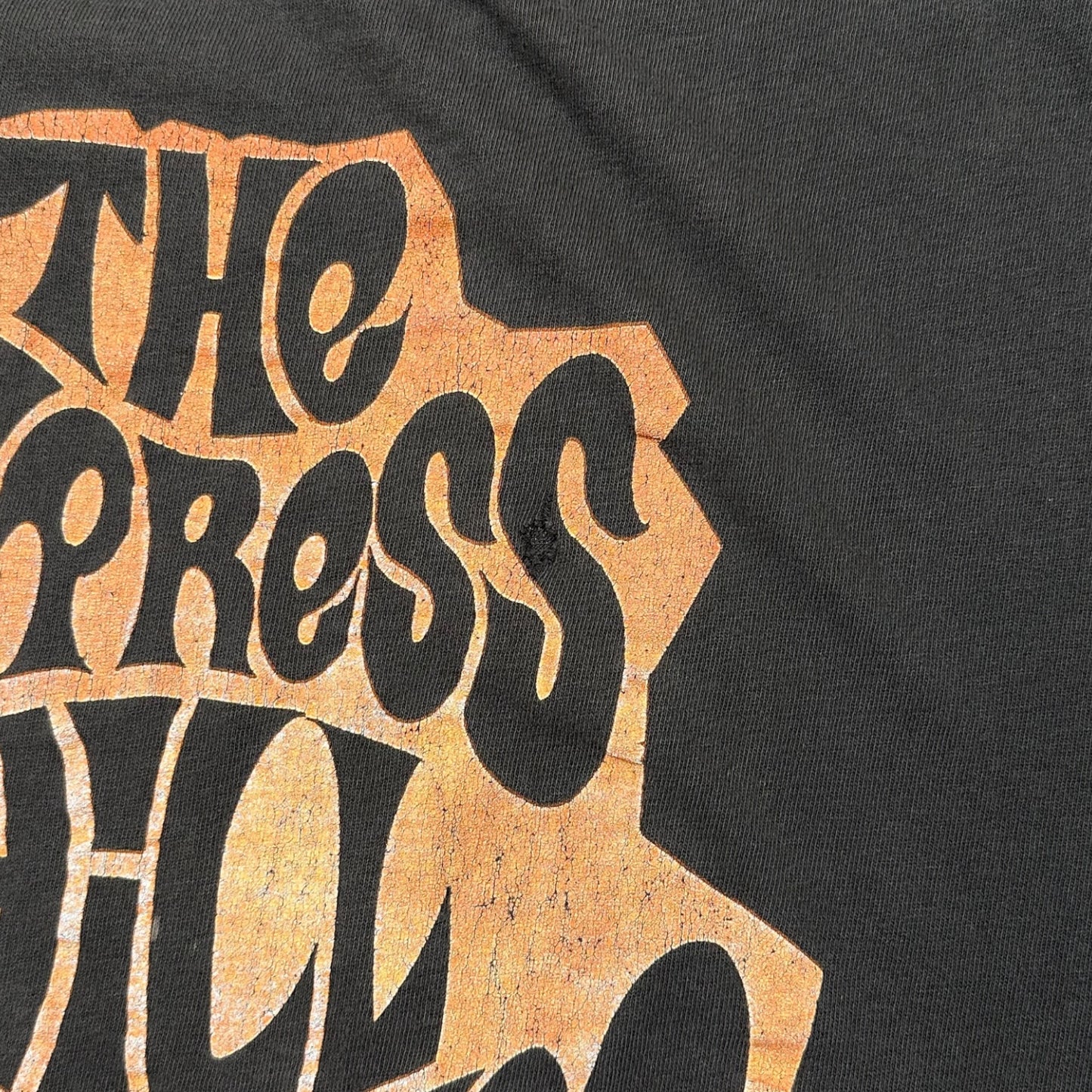 1990s Vintage Cypress Hill "The Cypress Hill Experience" Shirt